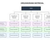 Organigrama matricial de una empresa con CEO, directores de área (Desarrollo, Marketing, Finanzas, RRHH) y equipos por proyecto.