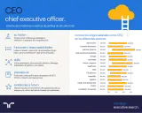 CEO: misión, funciones, skills y experiencia. Conoce rangos salariales para saber qué estudiar para ser CEO.