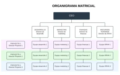 Organigrama matricial de una empresa con CEO, directores de área (Desarrollo, Marketing, Finanzas, RRHH) y equipos por proyecto.