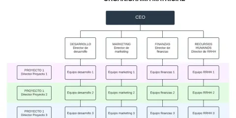 Organigrama matricial de una empresa con CEO, directores de área (Desarrollo, Marketing, Finanzas, RRHH) y equipos por proyecto.