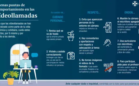 Infografía con pautas para videollamadas: cuida tu entorno, vístete, respeta la privacidad y el tema, no grabes, y mantén orden.