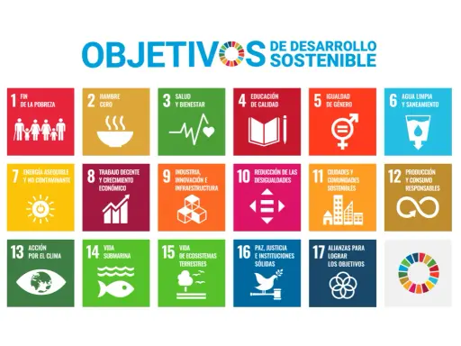 Los 17 Objetivos de Desarrollo Sostenible (ODS) de la ONU, que promueven la **formación ESG** global.