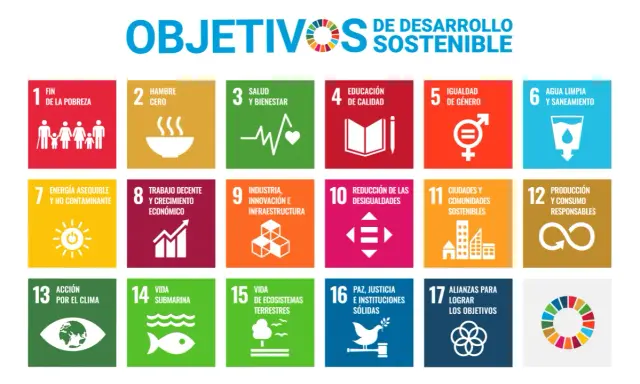 Los 17 Objetivos de Desarrollo Sostenible (ODS) de la ONU, que promueven la **formación ESG** global.