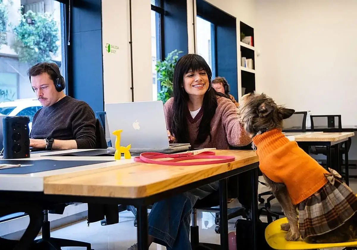 Joven sonr&iacute;e a su perro mientras realiza trabajos mientras estudia en una oficina moderna.