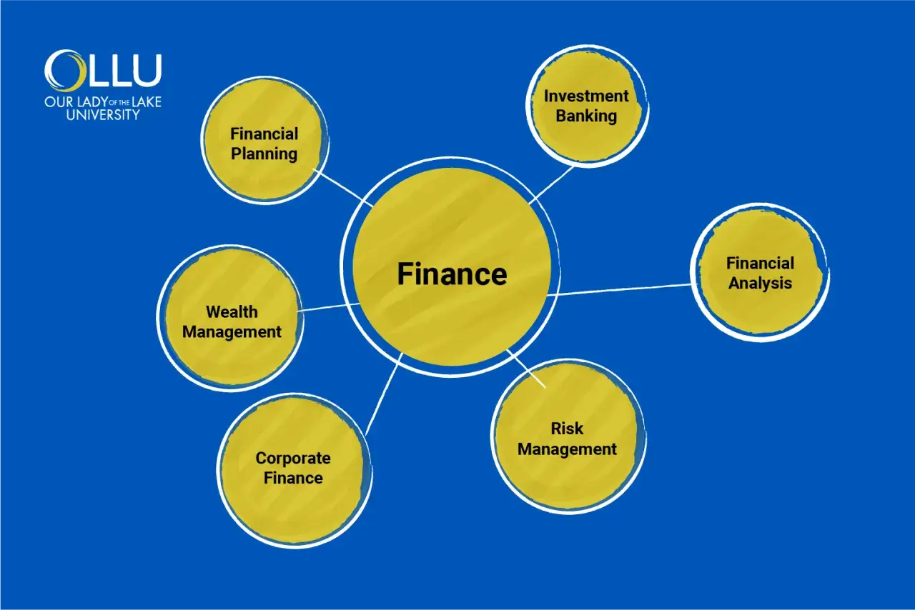 Diagrama de áreas de finanzas: planificación financiera, banca de inversión, análisis financiero, gestión de riesgos, finanzas corporativas y gestión de patrimonio, todas conectadas a un centro de
